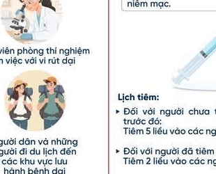 Tiêm vắc xin phòng dại là cách duy nhất để dự phòng bệnh dại