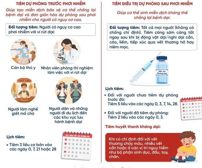 Tiêm vắc xin phòng dại là cách duy nhất để dự phòng bệnh dại