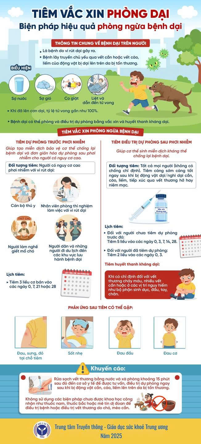 Tiêm vắc xin phòng dại là cách duy nhất để dự phòng bệnh dại